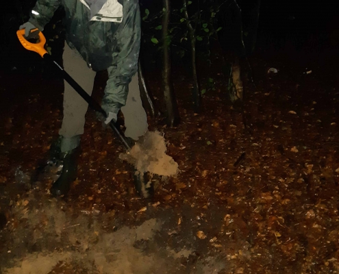 zdjęcie człowiek kopie dół w lesie przeniesienie mrowiska kompensacja przyrodnicza