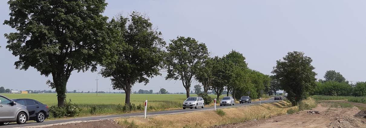 zdjęcie drogi w rozbudowie ekspertyza ornitologiczna