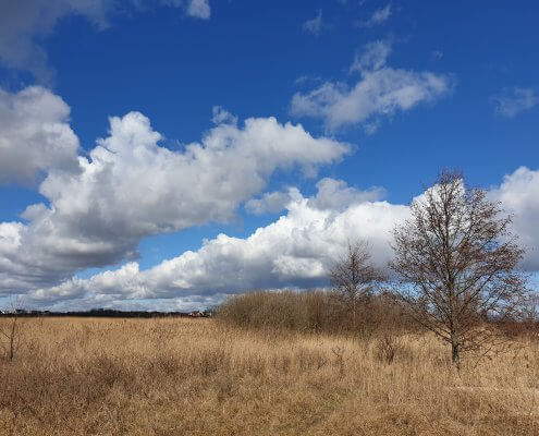 zdjęcie łąki błękitne niebo chmury inwentaryzacja przyrodnicza