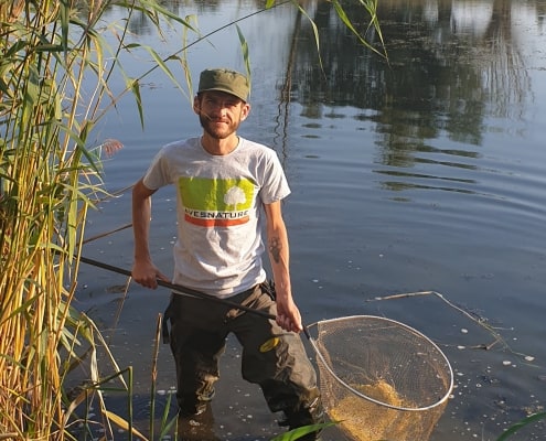 herpetologist with a landing net standing in a lake