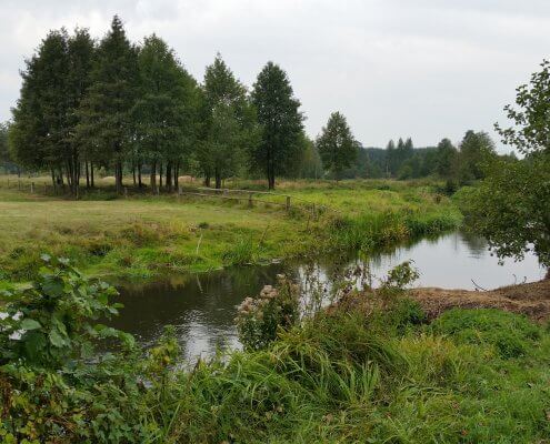 zdjęcie rzeki pośród łąk i zadrzewień inwentaryzacja przyrodnicza